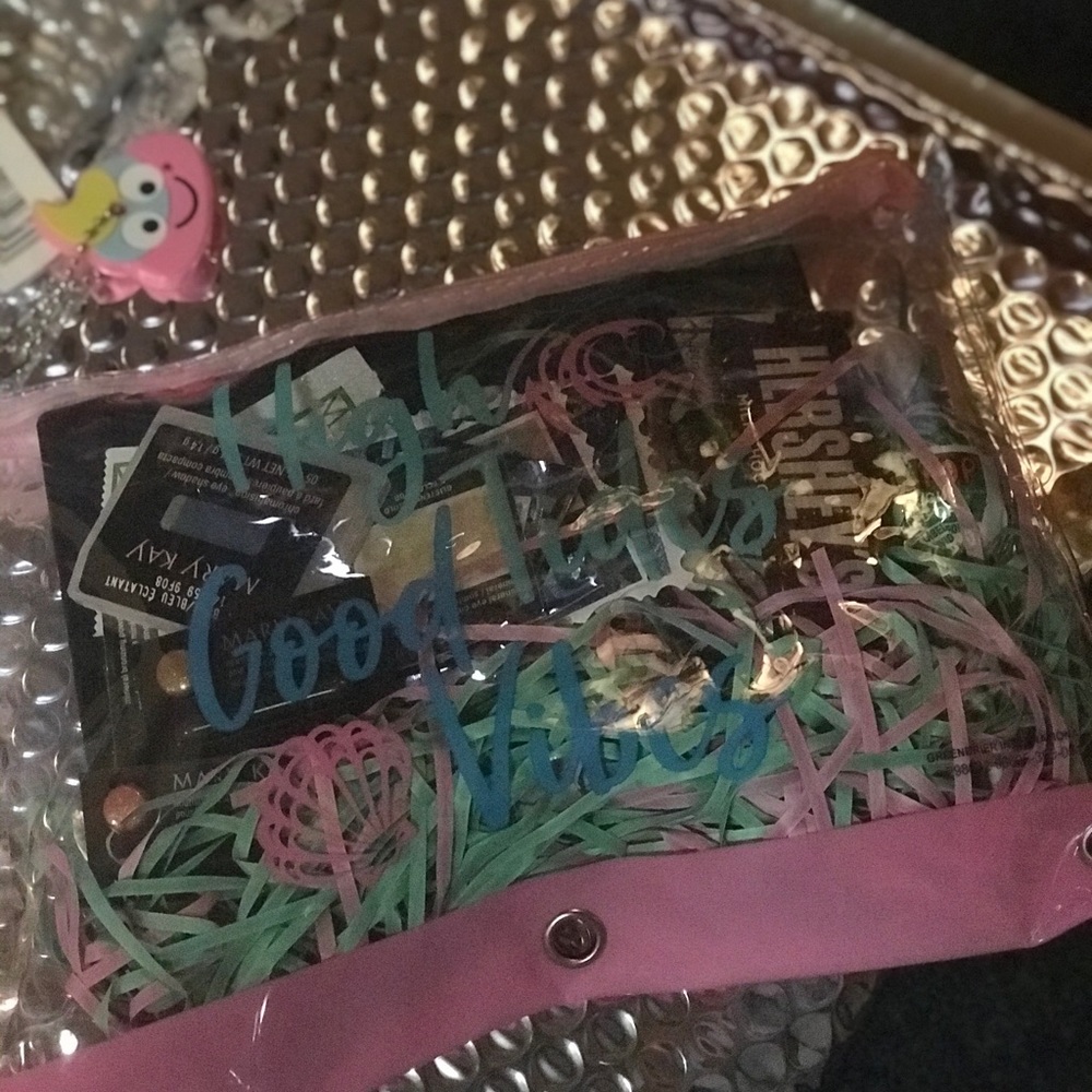 Skin care/ make up bags